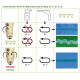 Ming Jang MJ62GX-460- 02/H1/H2/SV/AT/AW/TK1 Плоскошовна шестиниткова швейна машина (флет-лок) з циліндричною платформою